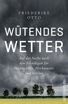 Wütendes wetter auf - auf, der